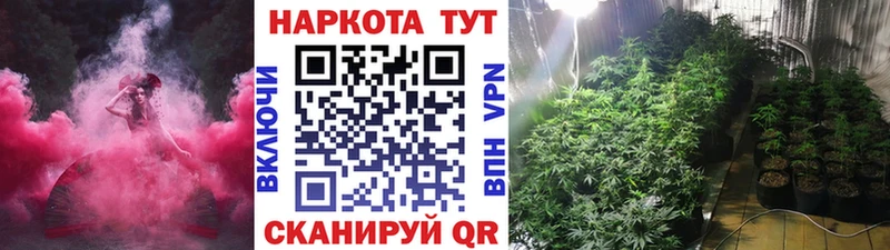 Купить наркотики сайты Светлоград ГАШ Каннабис Кокаин Меф мяу мяу
