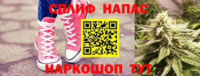 трава Бийск