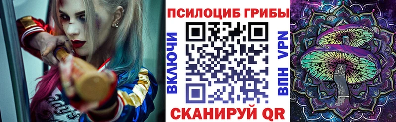 дарнет шоп  Светлоград  Псилоцибиновые грибы мухоморы 