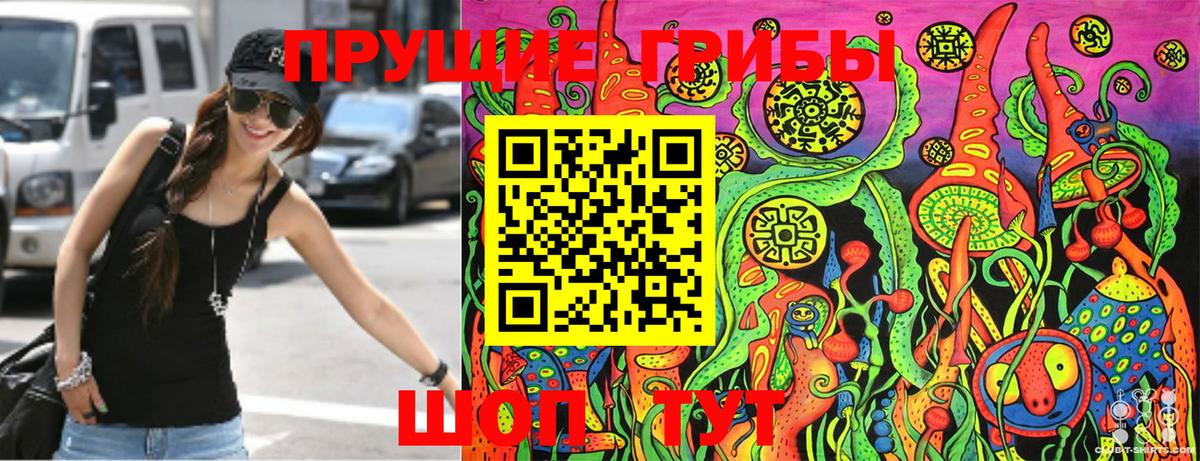 Галлюциногенные грибы Psilocybe  Вход с VPN  Галлюциногенные грибы ЛСД  Светлоград 